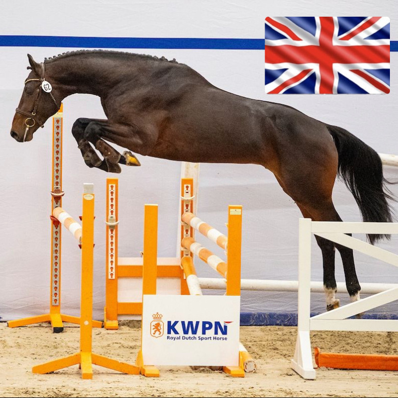 Diarado's Talisman Image