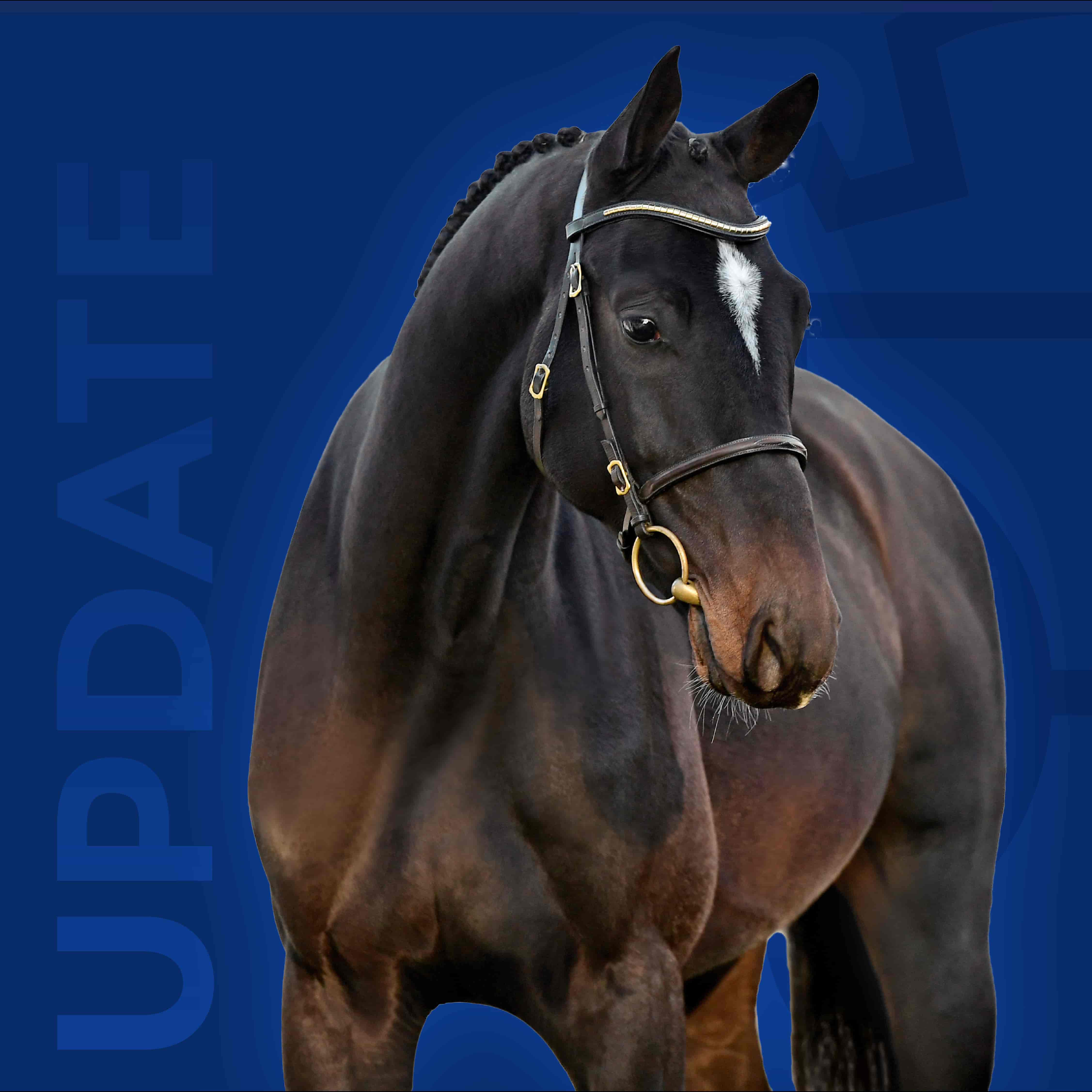 Update Image