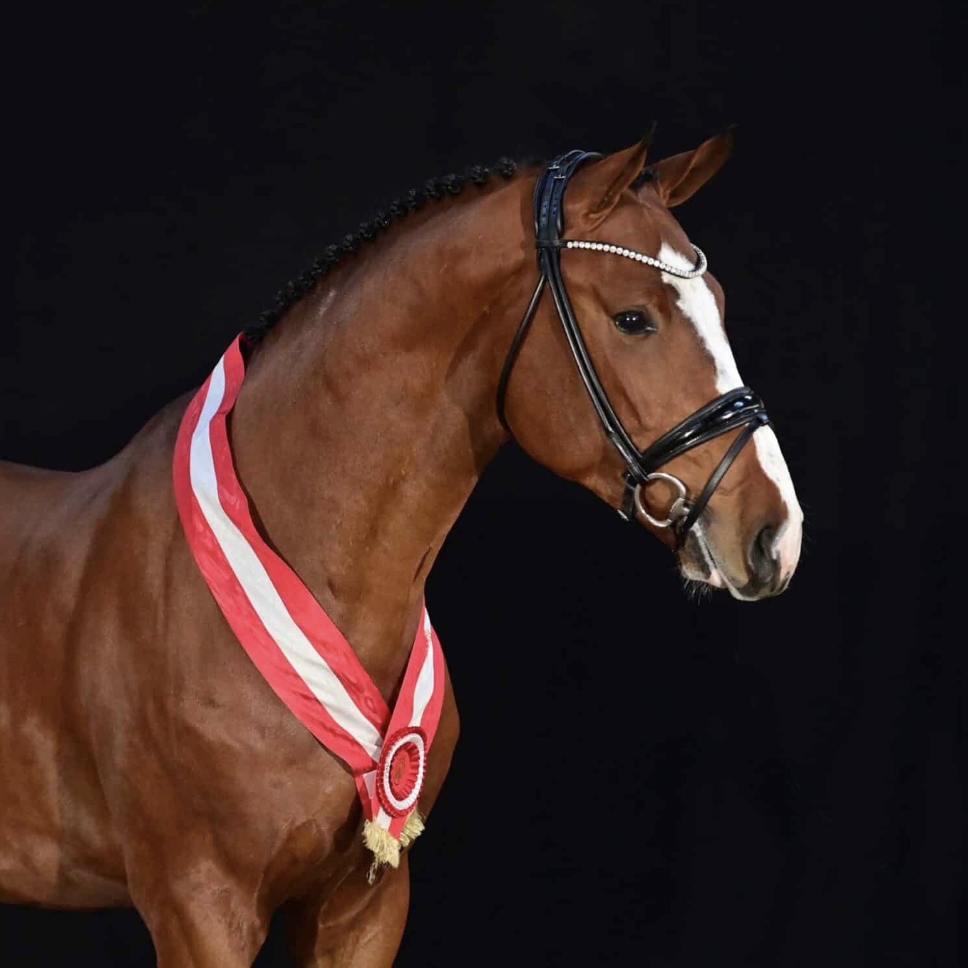 Kartal's Emerald Image