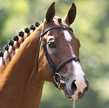 Lupicor Image
