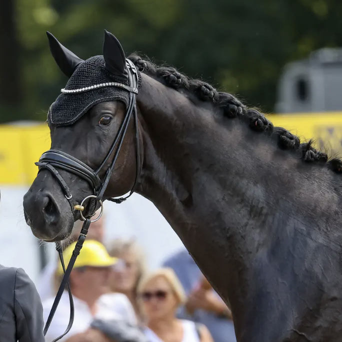 Beck's In Black Image