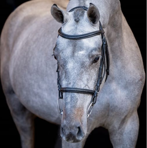 Champion 2000 Z Image