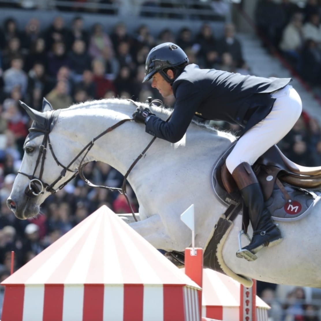 Elite Stallions Stallion