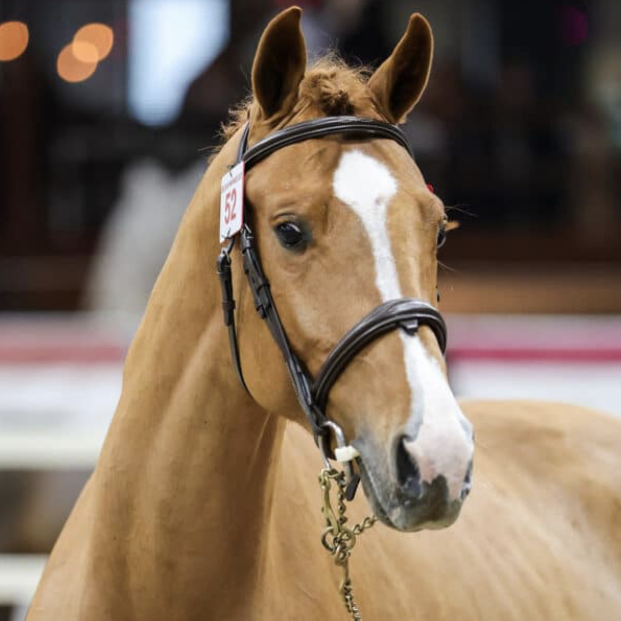 A-United-Touch TN Image