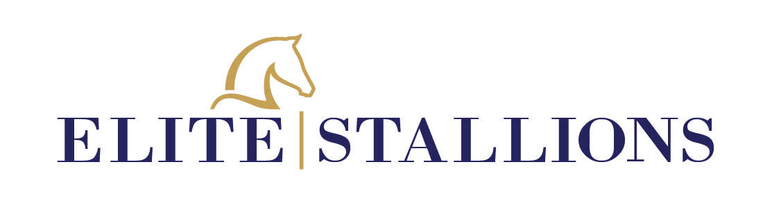Elite Stallions Logo