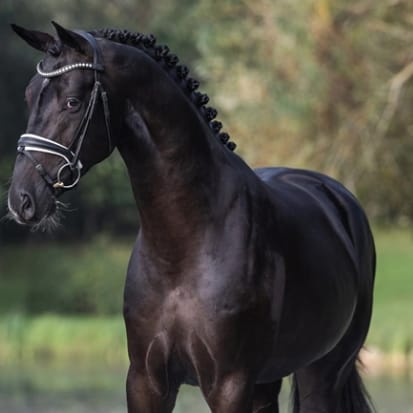 Sénégal de Fontaine Image