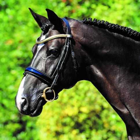 Baloutaire Image